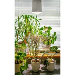 Airam Fiora IP20 800lm Led-kasviriippuvalaisin -Airam 6435200228246 3