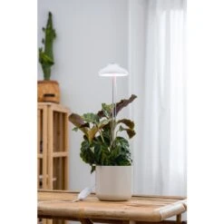 Airam Iris IP20 5W 240lm Valkoinen Kasvivalo -Airam 6435200292629 2