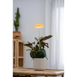 Airam Iris IP20 5W 240lm Keltainen Kasvivalo -Airam 6435200292643 2